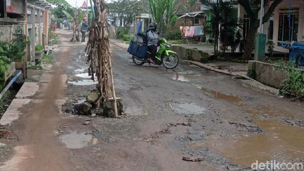 Penuh Lubang, Jalan di Dengkol, Malang Ditanami Pohon Pisang