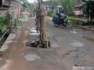 Penuh Lubang, Jalan di Dengkol, Malang Ditanami Pohon Pisang