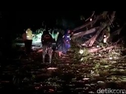 Pohon Tumbang Sempat Tutup Jalan Nasional Trenggalek-Ponorogo
