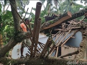 Pohon Tumbang Rusak 6 Rumah Warga di Pandeglang