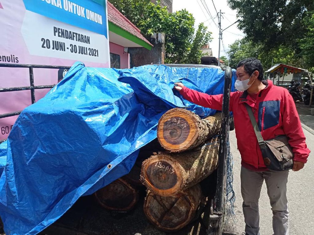 Polisi Ponorogo Amankan 2 Pelaku Ilegal Logging, 4 Masih Buron