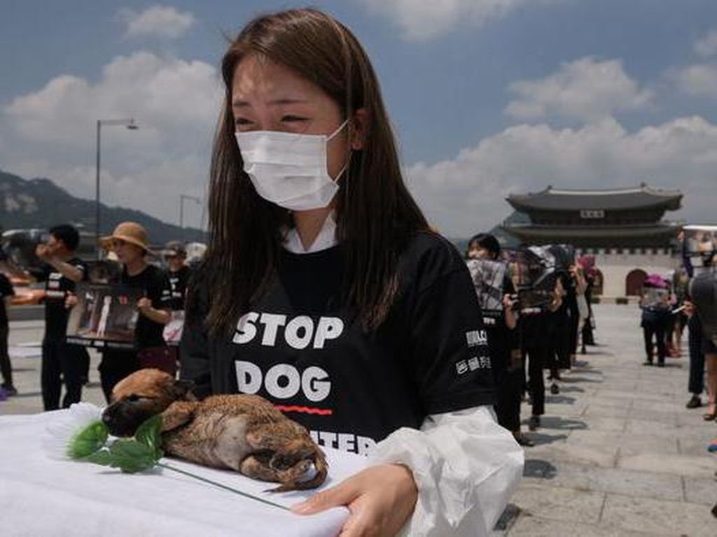 Akankah Konsumsi Daging Anjing Jadi Sejarah Korea Selatan?