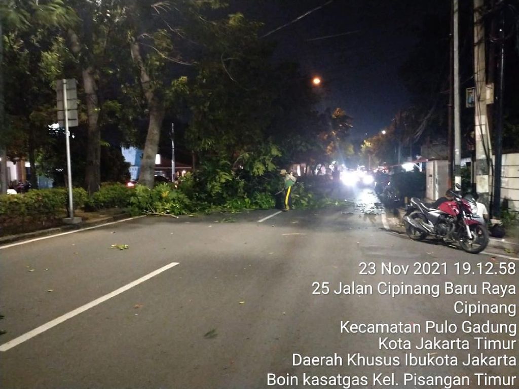Mengenal Siklon Tropis Paddy Penyebab Angin Kencang Jakarta