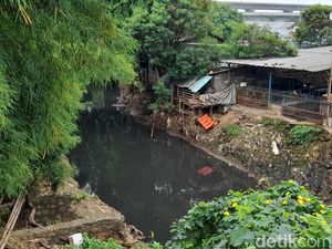 detikcom Do Your Magic: Warga Jatimulya Harap Kali Jambe Tak Penuh Sampah Lagi detikcom Do Your Magic: Warga Jatimulya Harap Kali Jambe Tak Penuh Sampah Lagi