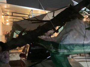 Pohon Tumbang Akibat Angin Kencang Timpa Mobil Warga-Kedai Kopi di Jakbar