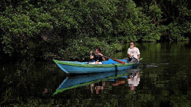 taman wisata alam mangrove kapuk