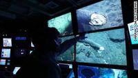 Foto: Gading Mammoth Ditemukan di Kedalaman Laut, Ilmuwan Kaget