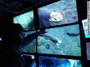 Foto: Gading Mammoth Ditemukan di Kedalaman Laut, Ilmuwan Kaget