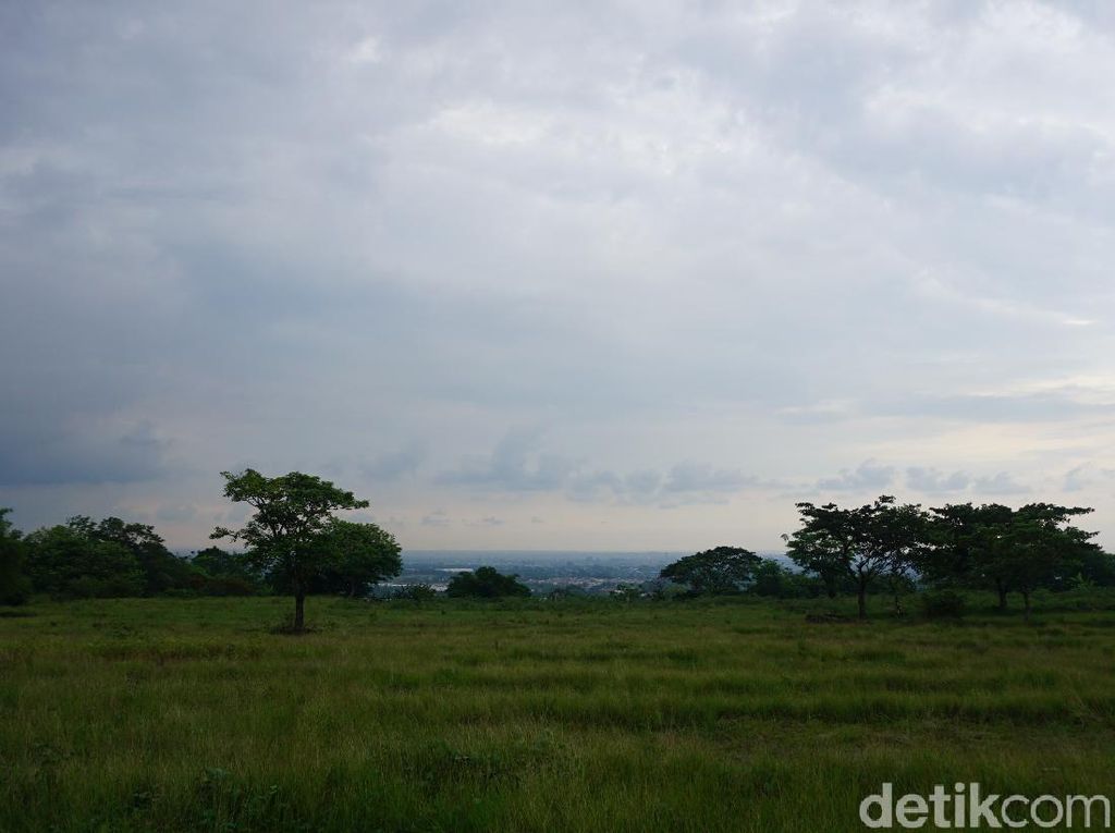 Bukit Gronggong Wisata Murah di Cirebon, Makan Jagung Bakar With a View!