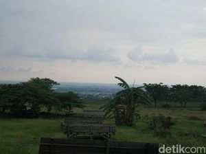 Sambut Tahun Baru di Bukit Gronggong, Lihat Citylight Kerlap-kerlip