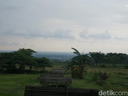 Sambut Tahun Baru di Bukit Gronggong, Lihat Citylight Kerlap-kerlip