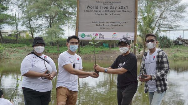 Harmonisasi Pelestarian Lingkungan di Desa Wisata