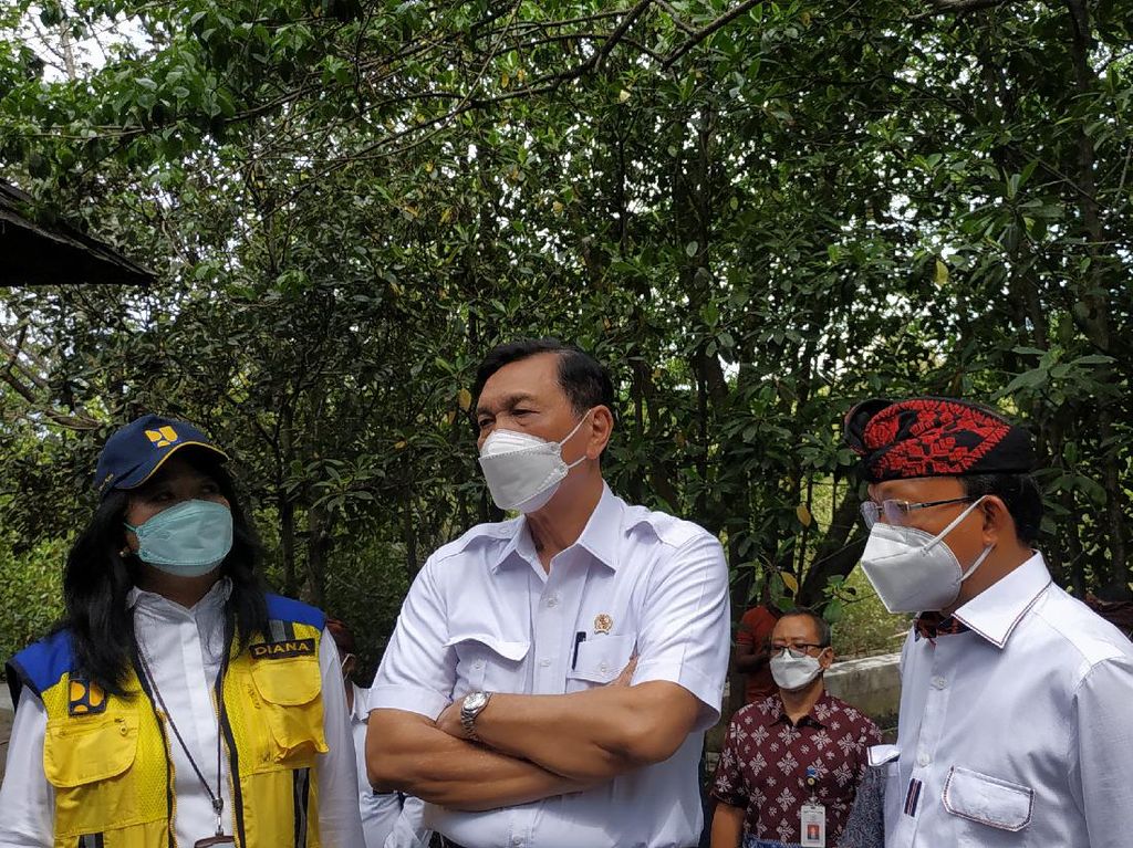 Luhut Cek Hutan Mangrove di Bali yang Akan Dipamerkan Jokowi Saat KTT G20 Luhut Cek Hutan Mangrove di Bali yang Akan Dipamerkan Jokowi Saat KTT G20