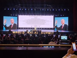 Keren, Produk Fashion Parepare dari Limbah Kerang Mejeng di Turki