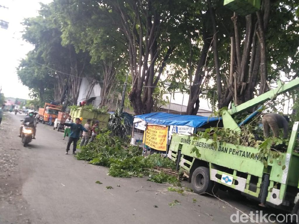 DLHK Sidoarjo Diminta Rajin Kepras Ranting Cegah Pohon Tumbang