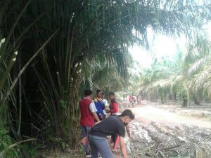 Kepsek Ungkap Alasan Mulia Siswa Gotong Royong Perbaiki Jalan di Banyuasin