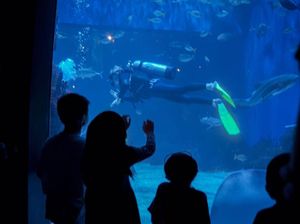 PPKM Level 3 Nataru Batal, Pengusaha Kegirangan