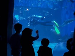 PPKM Level 3 Nataru Batal, Pengusaha Kegirangan