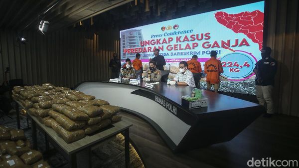224 Kg Ganja Jaringan Aceh-Medan-Jakarta Diamankan Polisi