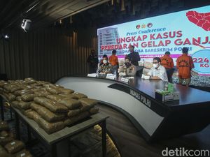 224 Kg Ganja Jaringan Aceh-Medan-Jakarta Diamankan Polisi