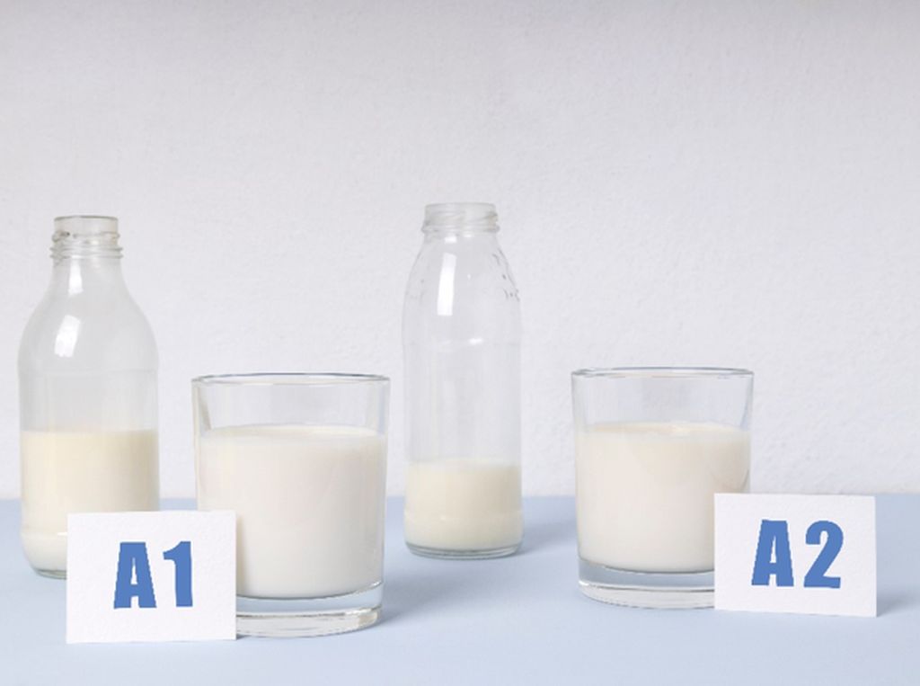 Susu Jenis A1 dan A2, Mana yang Lebih Baik untuk Anak? Susu Jenis A1 dan A2, Mana yang Lebih Baik untuk Anak?