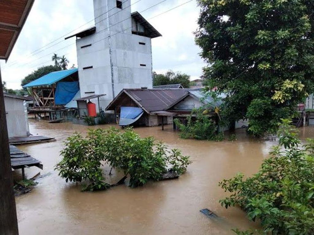 Sudah 2 Hari Banjir Bandang di Barito Utara Belum Surut, Tinggi Capai 4 Meter