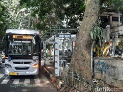Biskita Bogor Koridor 5 Masih Gratis, Ini Rute-Titik Pemberhentiannya