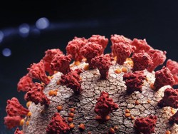 Apa yang Menyebabkan B.1.1.529 atau Omicron Disebut Mengkhawatirkan?