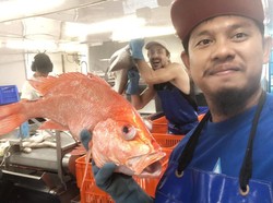 Digaji Bersih Rp 30 Juta Per Bulan, Pelaut RI Senang Kerja di Kapal Ikan Australia