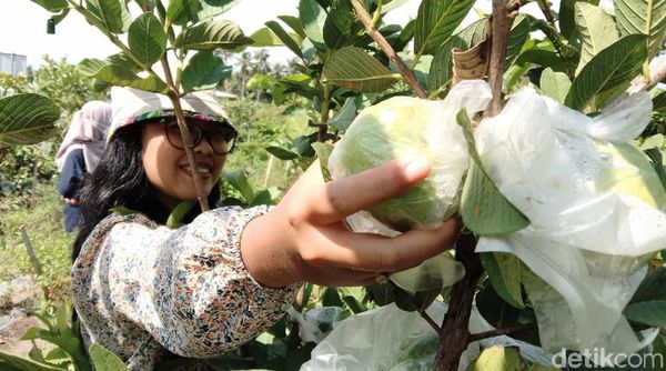 Gaet Wisatawan, Dinparbud Purworejo Gelar Uji Paket Wisata