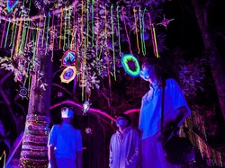 Mau Wisata ke Hutan Menyala Bandung? Ini Harga Tiketnya