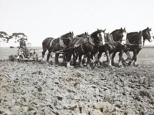 Melbourne Berhasil Atasi Pembuangan Limbahnya Sejak 125 Tahun Lalu, Begini Solusinya