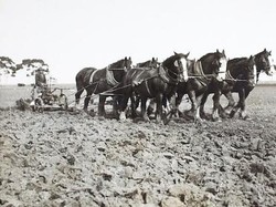 Melbourne Berhasil Atasi Pembuangan Limbahnya Sejak 125 Tahun Lalu, Begini Solusinya