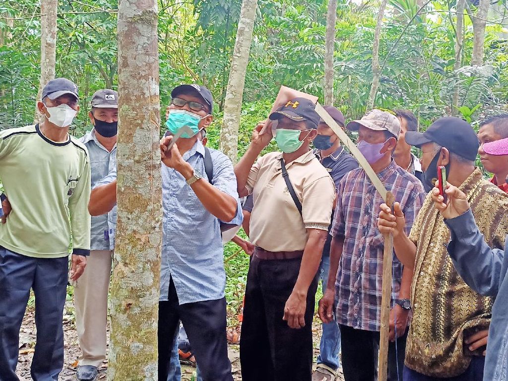 Tingkatkan Kualitas Petani Karet di Kalimantan Timur