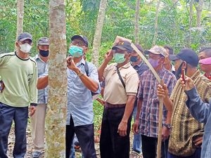 Tingkatkan Kualitas Petani Karet di Kalimantan Timur Tingkatkan Kualitas Petani Karet di Kalimantan Timur