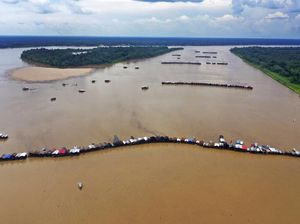 Ratusan Penambang Emas Ilegal Keruk Anak Sungai Amazon