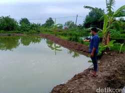Niat Belajar Renang di Tambak, 2 Bocah di Lamongan Tewas Tenggelam
