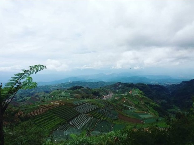 Bukit Mercury Sayang Kaak/foto: instagram.com/bukitmercurysayangkaak pemandangan dari atas Bukit Mercury