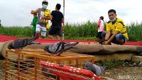 Vaksinator Covid-19 Sisir Warga Hingga ke Lokasi Lomba Burung Merpati