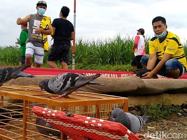 Vaksinator Covid-19 Sisir Warga Hingga ke Lokasi Lomba Burung Merpati
