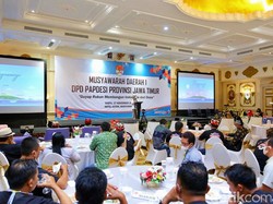 Musda I Papdesi Digelar di Banyuwangi, Ini Alasannya