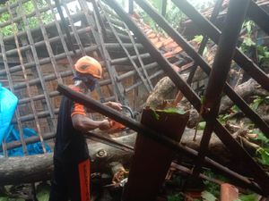 Diguyur Hujan, Parkiran SD di Grobogan Ambruk-Pohon Tumbang Timpa Rumah