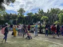 PPKM Level 3 Bakal Diterapkan Semasa Nataru, Ini Kata Pihak Ragunan