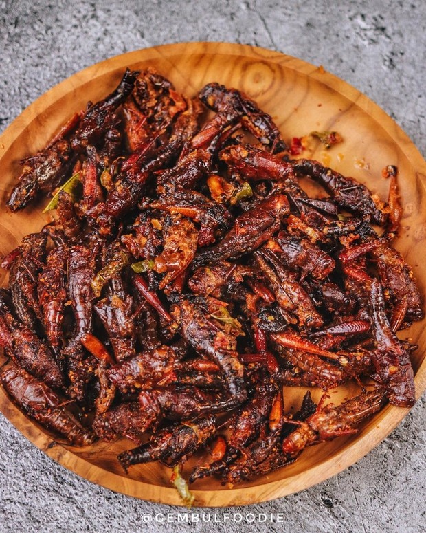 Walang Goreng yang menjadi kuliner unik khas Jogja.