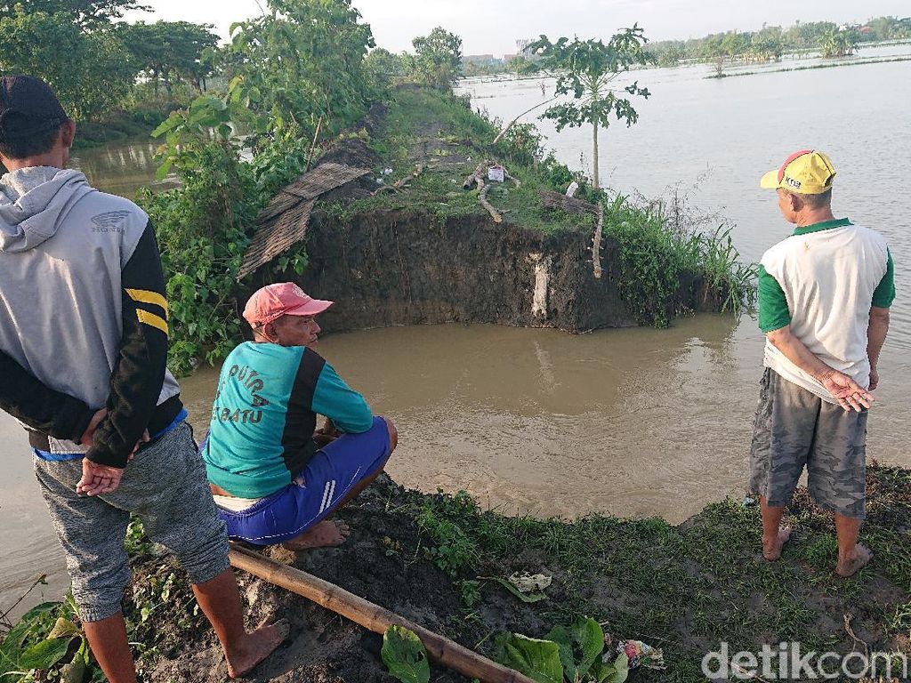 Tanggul di Lamongan Kembali Jebol, Ratusan Hektare Tambak dan Rumah Kebanjiran Tanggul di Lamongan Kembali Jebol, Ratusan Hektare Tambak dan Rumah Kebanjiran