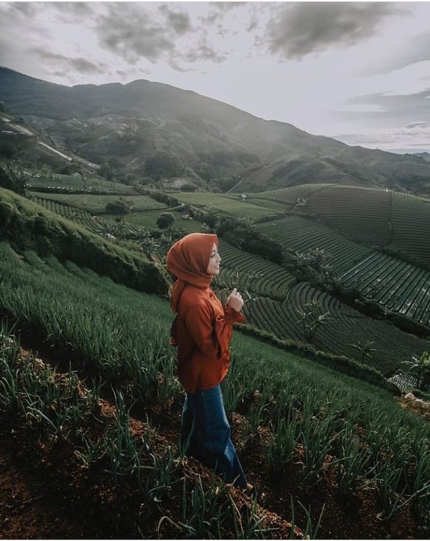 Terasering Panyaweuyan Majalengka/foto: instagram.com/viaputrisilviani_ Panorama indah di Teraserig Panyaweuyan Majalengka