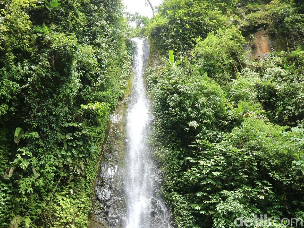 Foto: Air Terjun Montel, Kesejukan Alami yang Bisa Dikunjungi di Kudus Foto: Air Terjun Montel, Kesejukan Alami yang Bisa Dikunjungi di Kudus
