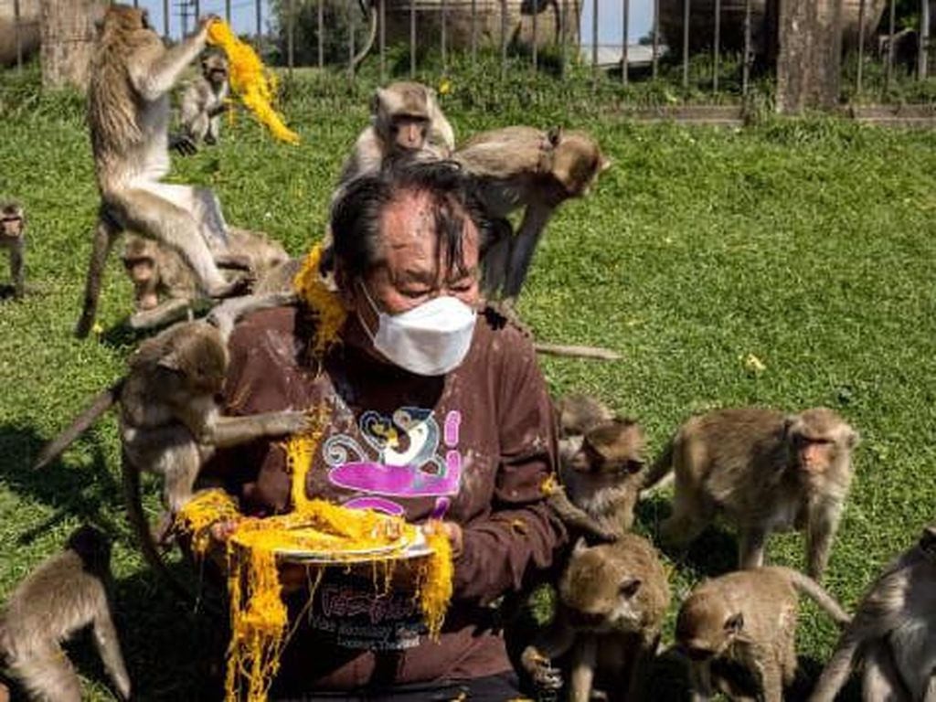 Turis Asing Kembali ke Thailand, Monyet pun Ikut Berpesta