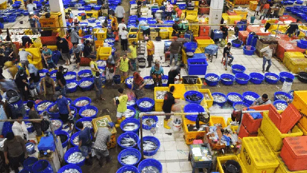 Hiruk Pikuk Pasar Ikan Muara Baru, Tempat Asik Nikmati Seafood
