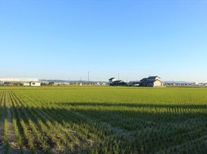 Jepang Bayar Rp 500 Juta Bagi yang Mau Pindah ke Pedesaannya, Mau? Jepang Bayar Rp 500 Juta Bagi yang Mau Pindah ke Pedesaannya, Mau?